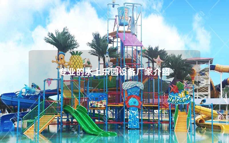 專業的水上樂園設備廠家介紹