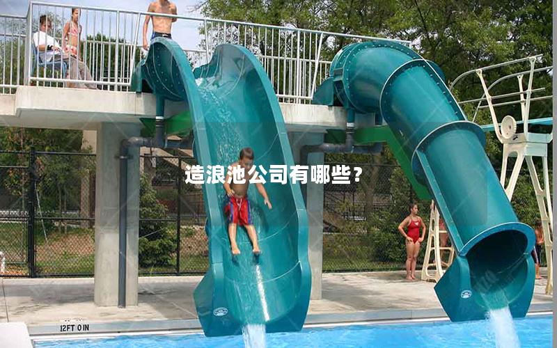 造浪池公司有哪些？